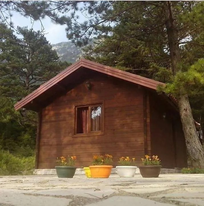 Iliria Tiny House Llogora Albania
